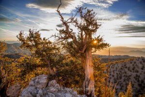 Millionth Sunrise